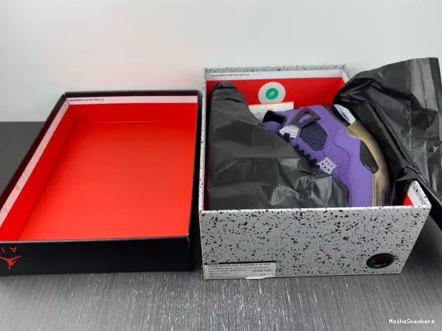 MaikeSneakers LN4 Retro 766296 Purple and 4 Travis (Friends Jordan Family) Scott 0420